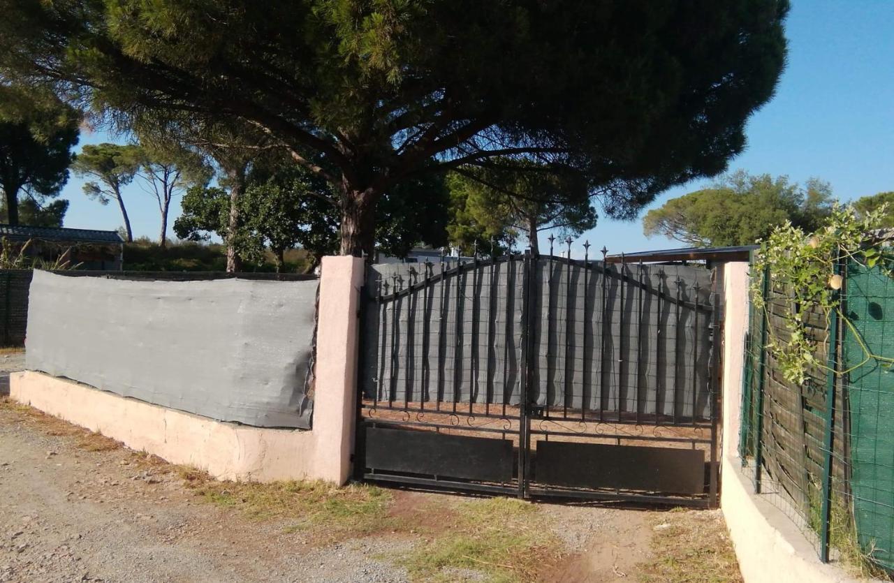 Mobilhome A Frejus A 15 Minute De La Mer Sur Terrain Independant 外观 照片