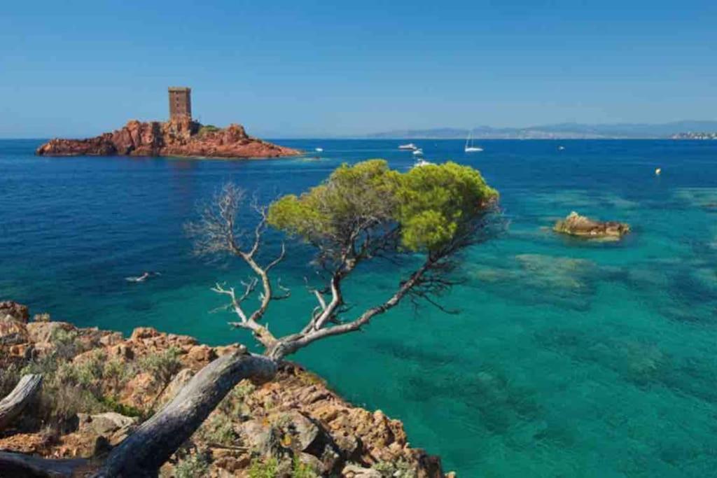 Mobilhome A Frejus A 15 Minute De La Mer Sur Terrain Independant 外观 照片